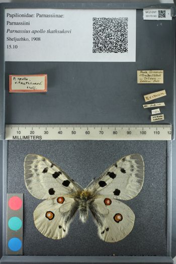 Media type: image;   Entomology 175143